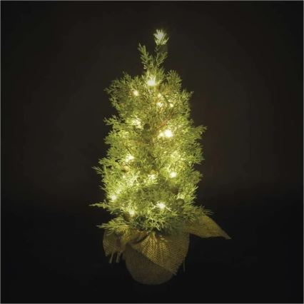 LED Weihnachtsdekoration 30xLED/3xAA IP44