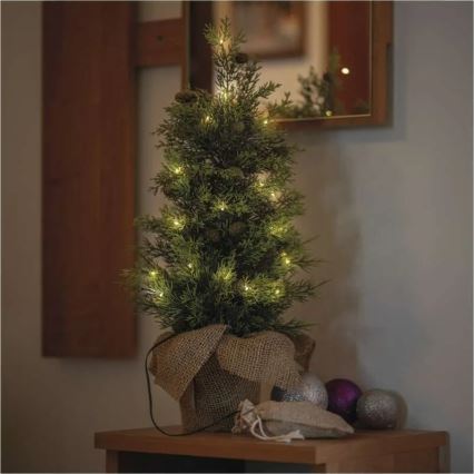LED Weihnachtsdekoration 30xLED/3xAA IP44
