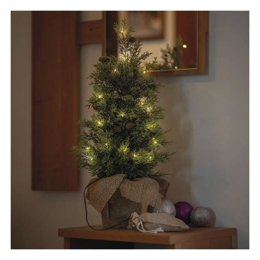 LED Weihnachtsdekoration 30xLED/3xAA IP44