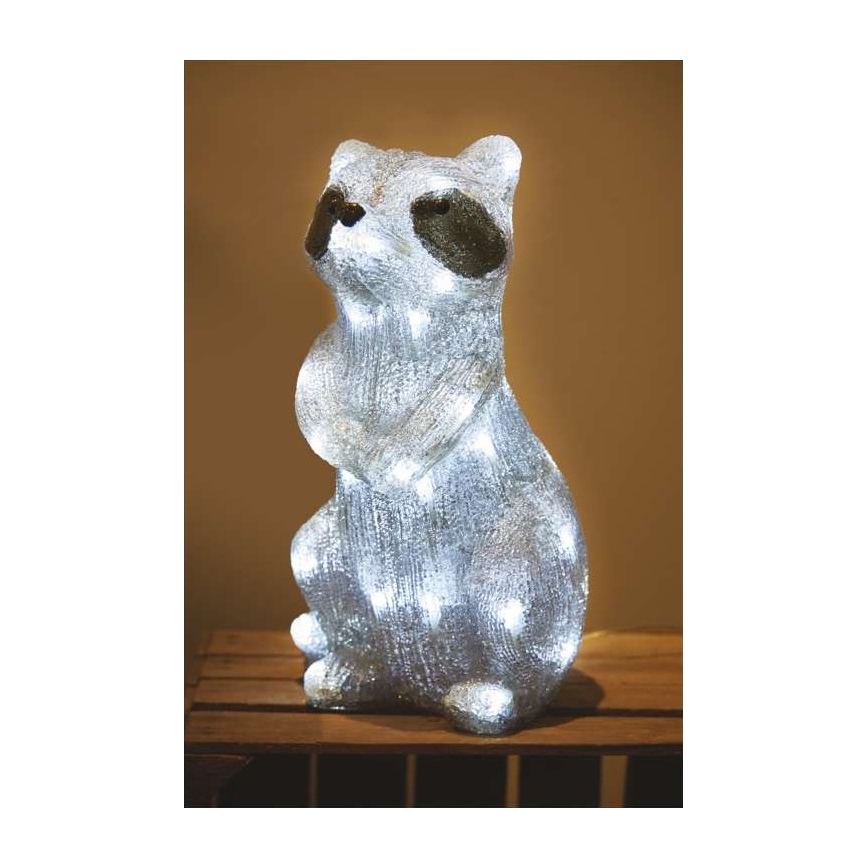 LED-Weihnachtsdekoration für den Außenbereich 40xLED/2,1W/230V IP44 Waschbär