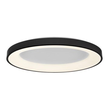 LED2 - Dimmbare LED-Deckenleuchte BELLA LED/80W/230V 3000K/4000K schwarz