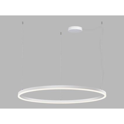 LED2 - Dimmbare LED-Hängeleuchte an Schnur CIRCLE LED/80W/230V 3000K/4000K d 100 cm weiß