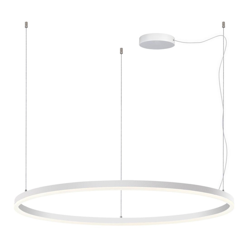 LED2 - Dimmbare LED-Hängeleuchte an Schnur CIRCLE LED/80W/230V 3000K/4000K d 100 cm weiß