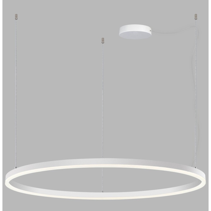 LED2 - LED dimmbare Hängeleuchte an Kabel SATURN LED/80W/230V Ø 100 cm weiß