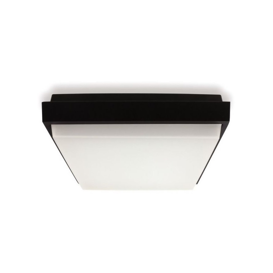 LED2 - LED-Außendeckenleuchte QUADO LED/10W/230V anthrazit IP54