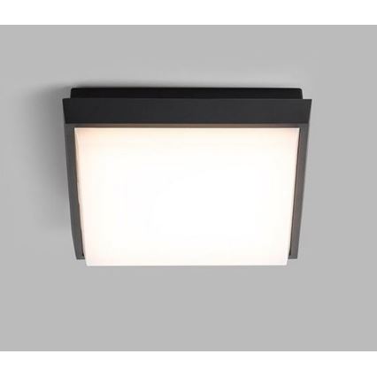 LED2 - LED-Außendeckenleuchte QUADO LED/10W/230V anthrazit IP54