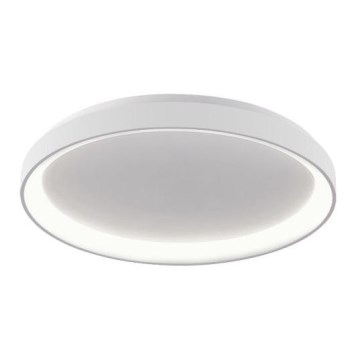 LED2 - LED-Deckenleuchte BELLA LED/48W/230V 3000K/4000K weiß