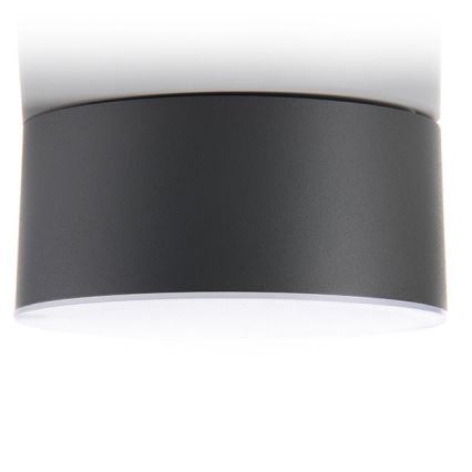 LED2 - LED-Deckenleuchte BUTTON LED/17W/230V anthrazit