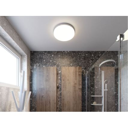 LED2 - LED-Deckenleuchte RUND LED/12W/230V IP54 3000/4000/5700K