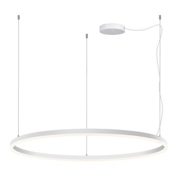LED2 - LED dimmbare Hängeleuchte an Kabel SATURN LED/80W/230V Ø 100 cm weiß