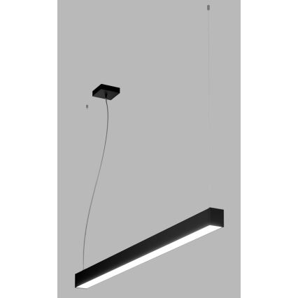 LED2 - LED-Hängeleuchte an Schnur NOLI LED/40W/230V 3000K/3500K/4000K schwarz