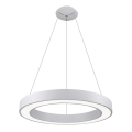 LED2 - LED-Kronleuchter an Schnur SATURN LED/50W/230V 3000/4000K weiß