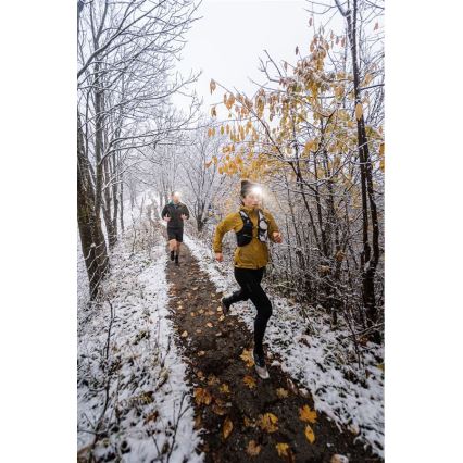 Ledlenser NEO5R - dimmbare wiederaufladbare LED-Stirnlampe LED/1800 mAh IP54 600 lm 35 h blau