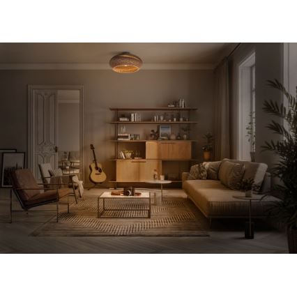 Ledvance - Deckenleuchte DECOR CARDBOARD 1xE27/15W/230V d 40 cm