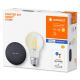 Ledvance - Intelligenter Lautsprecher Google Nest Mini + dimmbare LED-Glühbirne SMART+ A60 E27/60W/230V