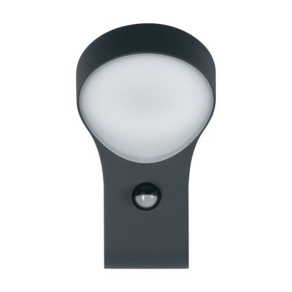 Ledvance - LED Außenwandleuchte mit Sensor ENDURA LED/8W/230V IP44