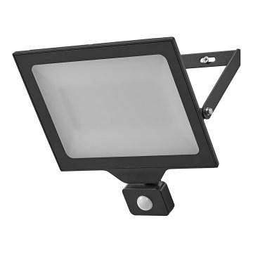 Ledvance - LED Außenwandleuchte mit Sensor FLOODLIGHT ESSENTIAL LED/100W/230V IP44