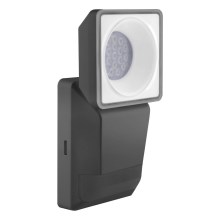 Ledvance -LED Außenwandleuchte mit Sensor SPOT LED/8W/230V IP55 schwarz