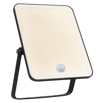Ledvance - LED-Außen-Wandfluter mit Bewegungs- und Dämmerungssensor LED/30W/230V IP65