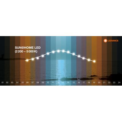 Ledvance - LED-Dimmbares Panel SUN@HOME LED/35W/230V 2200-5000K CRI 95 Wi-Fi