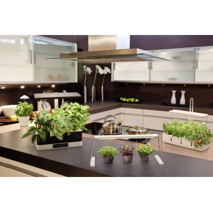 Ledvance - LED dimmbare Innenleuchte für Pflanzen GARDEN KIT LED/24W/230V