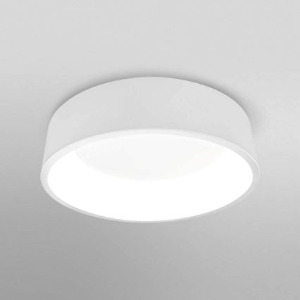 Ledvance - LED-Dimmer-Deckenleuchte SMART+ CYLINDER LED/24W/230V 3,000K-6,500K Wi-Fi