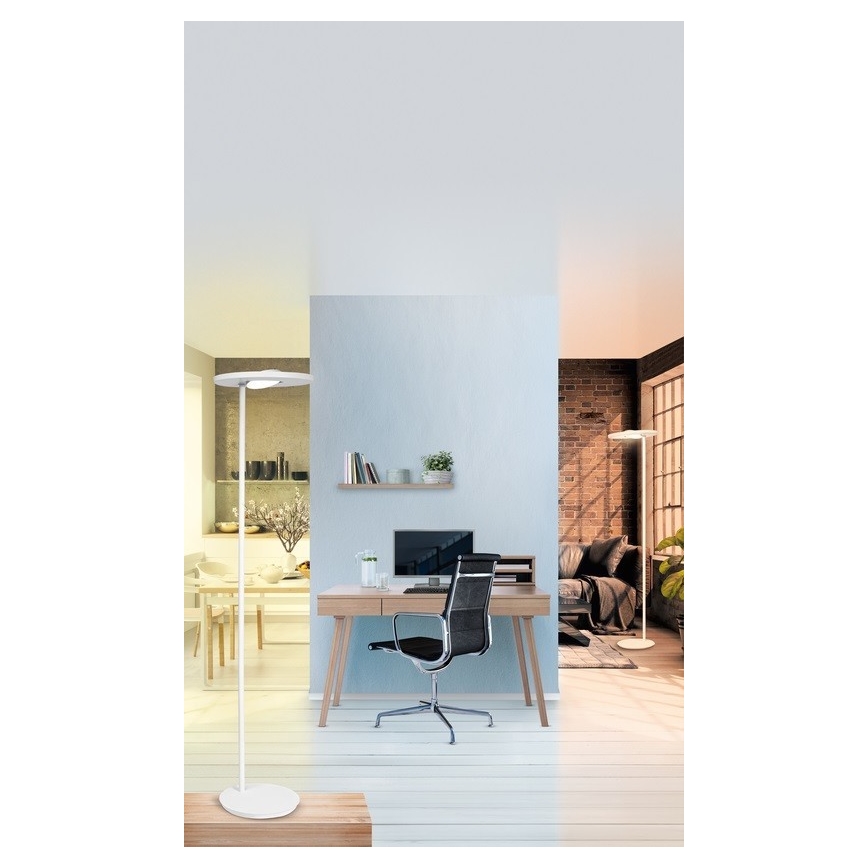 Ledvance - LED dimmbare Stehlampe SUN@HOME LED/36W/230V 2200-5000K CRI 95 Wi-Fi