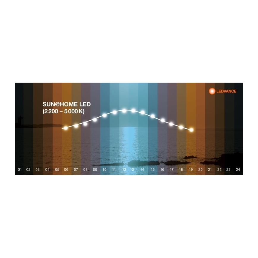 Ledvance - LED dimmbare Stehlampe SUN@HOME LED/36W/230V 2200-5000K CRI 95 Wi-Fi