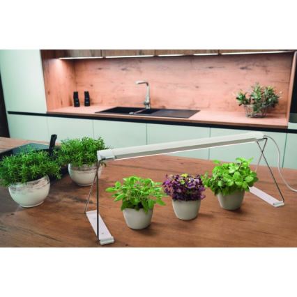Ledvance - LED Innenleuchte für Pflanzen GARDEN LIGHT LED/14W/230V