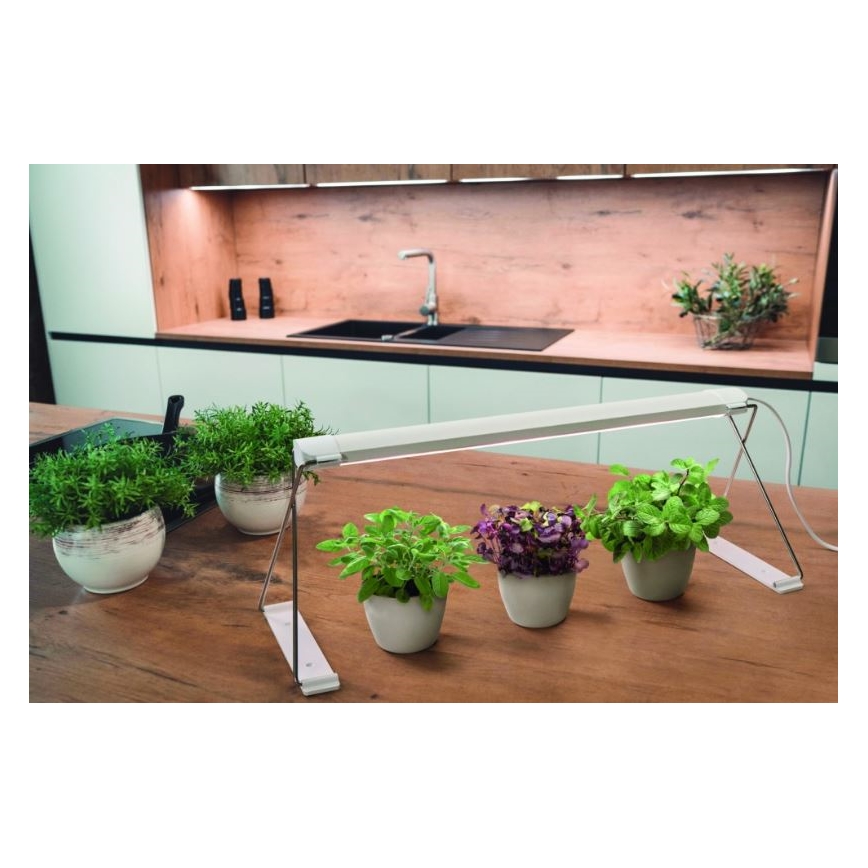 Ledvance - LED Innenleuchte für Pflanzen GARDEN LIGHT LED/14W/230V