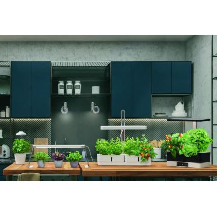 Ledvance - LED Innenleuchte für Pflanzen GARDEN LIGHT LED/14W/230V