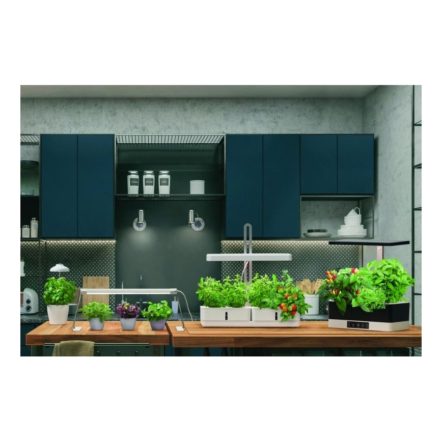 Ledvance - LED Innenleuchte für Pflanzen GARDEN LIGHT LED/14W/230V
