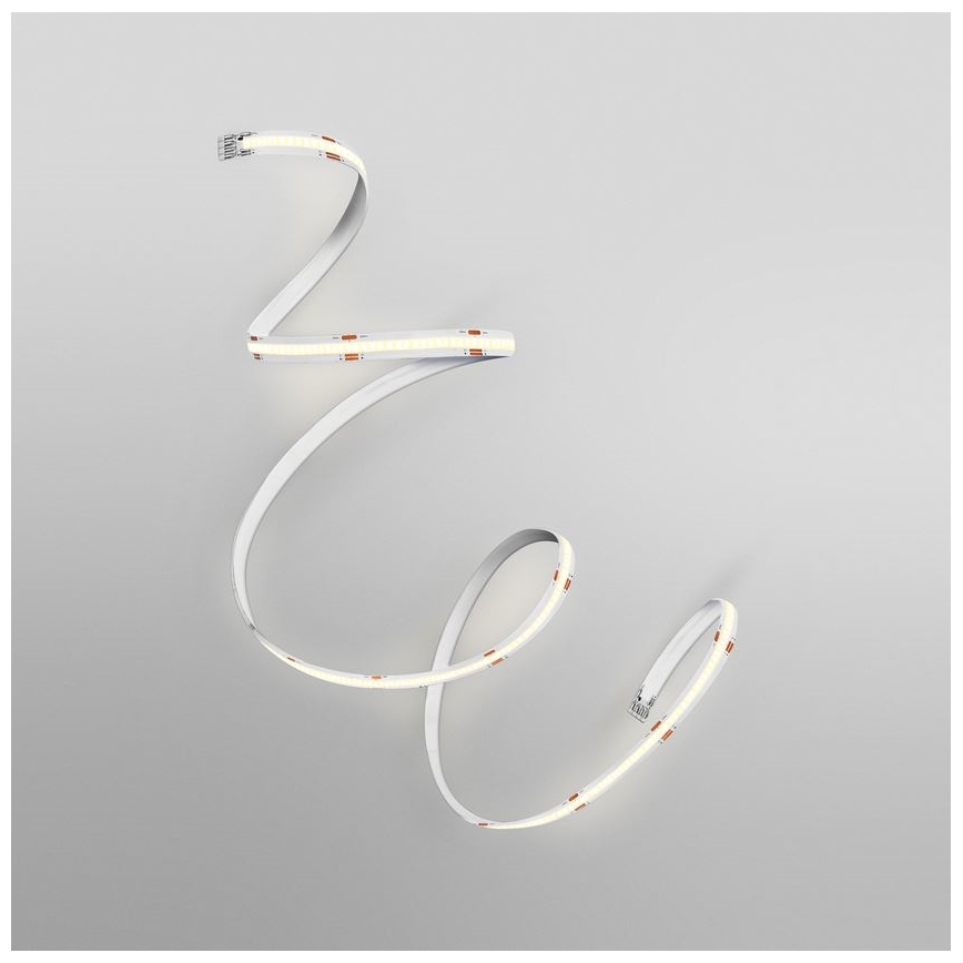 Ledvance - LED-Streifen FLEX COB 5m LED/24W/230V