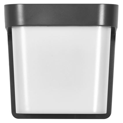 Ledvance - LED-Wandleuchte für den Außenbereich ENDURA STYLE IHSAN LED/11W/230V IP65