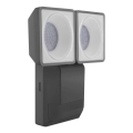 Ledvance - LED-Wandleuchte für den Außenbereich mit Sensor SPOT 2xLED/8W/230V IP55