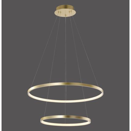 Leuchten Direkt 11525-12 -LED Hängeleuchte CIRCLE 1xLED/18,5W/230V + LED/23,5W