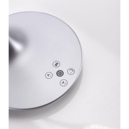 Leuchten Direkt 13061-21 - LED Dimmbare Touch-Tischleuchte RAFAEL LED/5W/230V 2700-6000K silber