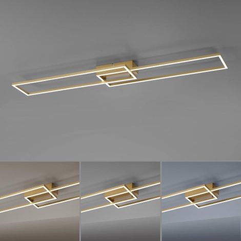 Leuchten Direkt 14019-60 – Dimmbare LED-Aufbauleuchte IVEN 2xLED/20W/230V +  Fernbedienung | Beleucht | Deckenlampen
