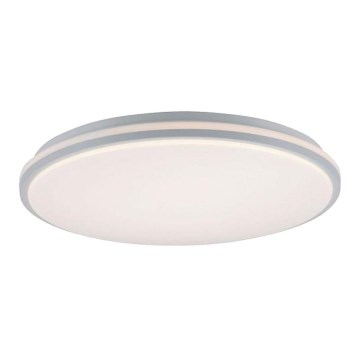 Leuchten Direkt 14208-16 - LED Dimmbare Deckenleuchte COLIN LED/18W/230V