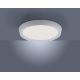 Leuchten Direkt 14217-16 - LED dimmbare Deckenleuchte LORENA 1xLED/35W/230V grau + Fernbedienung