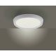 Leuchten Direkt 14217-16 - LED dimmbare Deckenleuchte LORENA 1xLED/35W/230V grau + Fernbedienung