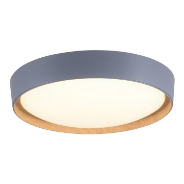 Leuchten Direkt 14347-15 - LED dimmbare Deckenleuchte EMILIA LED/28,8W/230V grau