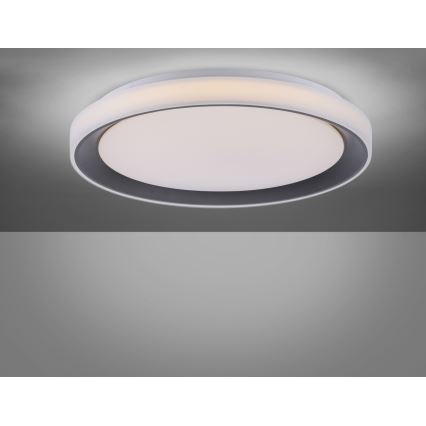 Leuchten Direkt 14659-18 - LED RGB Dimmbare Deckenleuchte LOLA LED/24W/230V Tuya + Fernbedienung