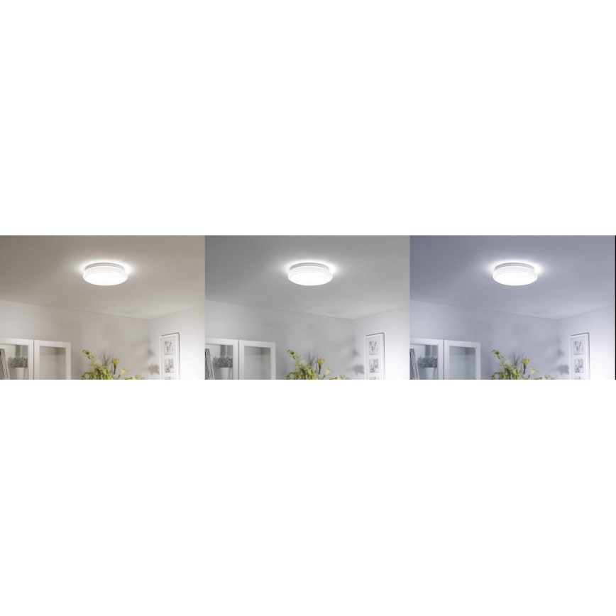 Leuchten Direkt 14742-16 - LED RGB Dimmbare Leuchte JUPI LED/18W