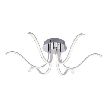 Leuchten Direkt 15342-17 - LED-Aufbauleuchte VALERIE 6xLED/4,5W/230V