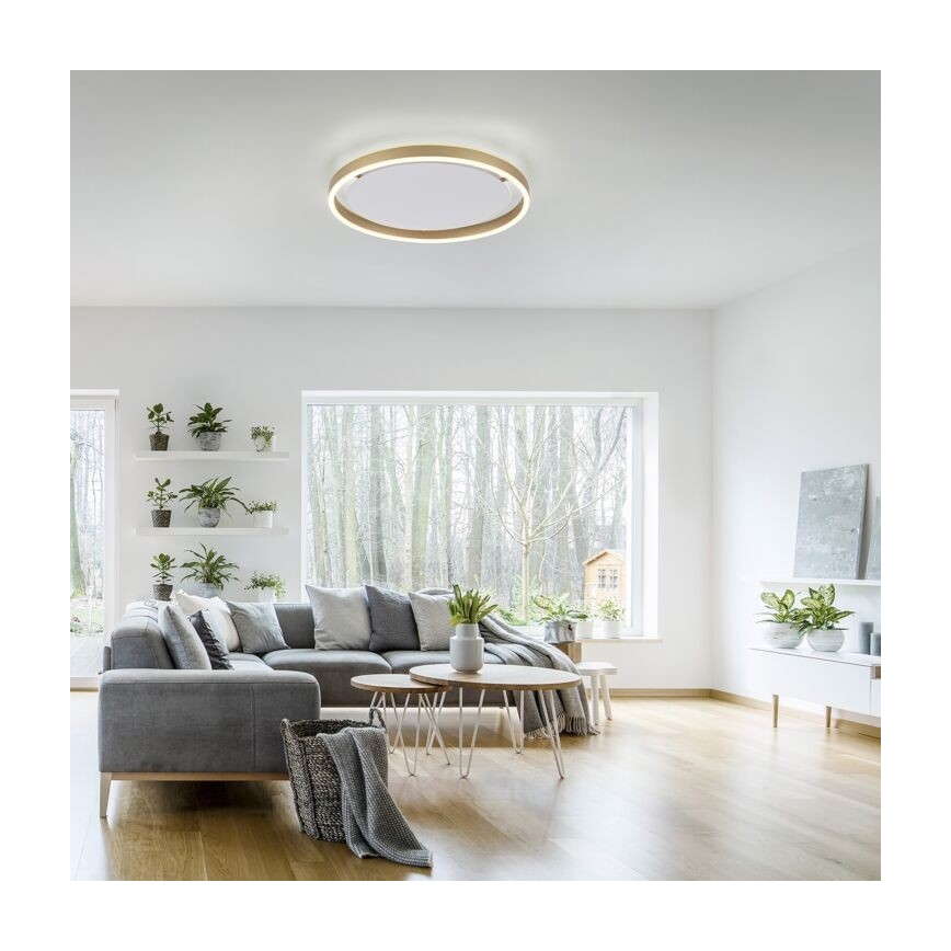 Leuchten Direkt 15391-60 – Dimmbare LED-Deckenleuchte RITUS LED/20W/230V Messing