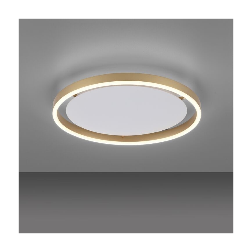Leuchten Direkt 15391-60 – Dimmbare LED-Deckenleuchte RITUS LED/20W/230V Messing