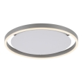 Leuchten Direkt 15391-95 - Dimmbare LED-Deckenleuchte RITUS LED/20W/230V matt Chrom