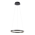 Leuchten Direkt 15393-13 - LED dimmbare Hängeleuchte an Seil RITUS LED/20W/230V schwarz