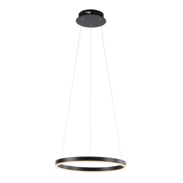 Leuchten Direkt 15393-13 - LED dimmbare Hängeleuchte an Seil RITUS LED/20W/230V schwarz